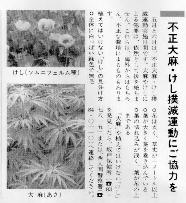 Opium and cannabis eradication 
information in Saitama prefecture