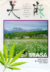 Miasa village brochure with cannabis leaf (100K)